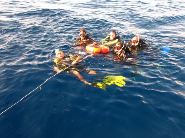 Visita guiada de snorkel